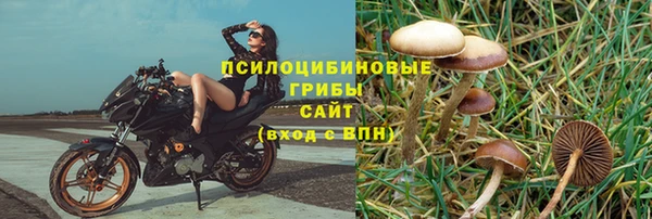 Альфа ПВП Осташков