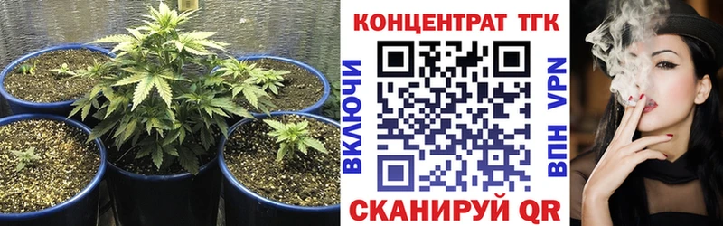 ТГК Wax  Ясногорск 